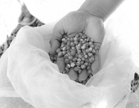 Natural Resources Conservation and Management Center