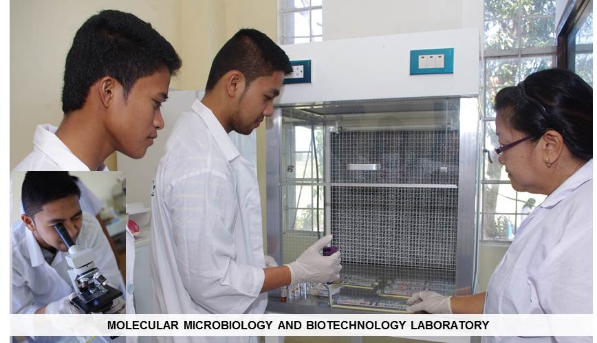 Molecular Microbiology and Biotechnology Laboratory