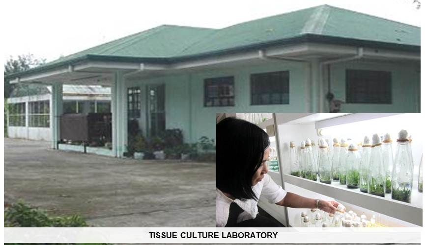 Tissue Culture Laboratory
